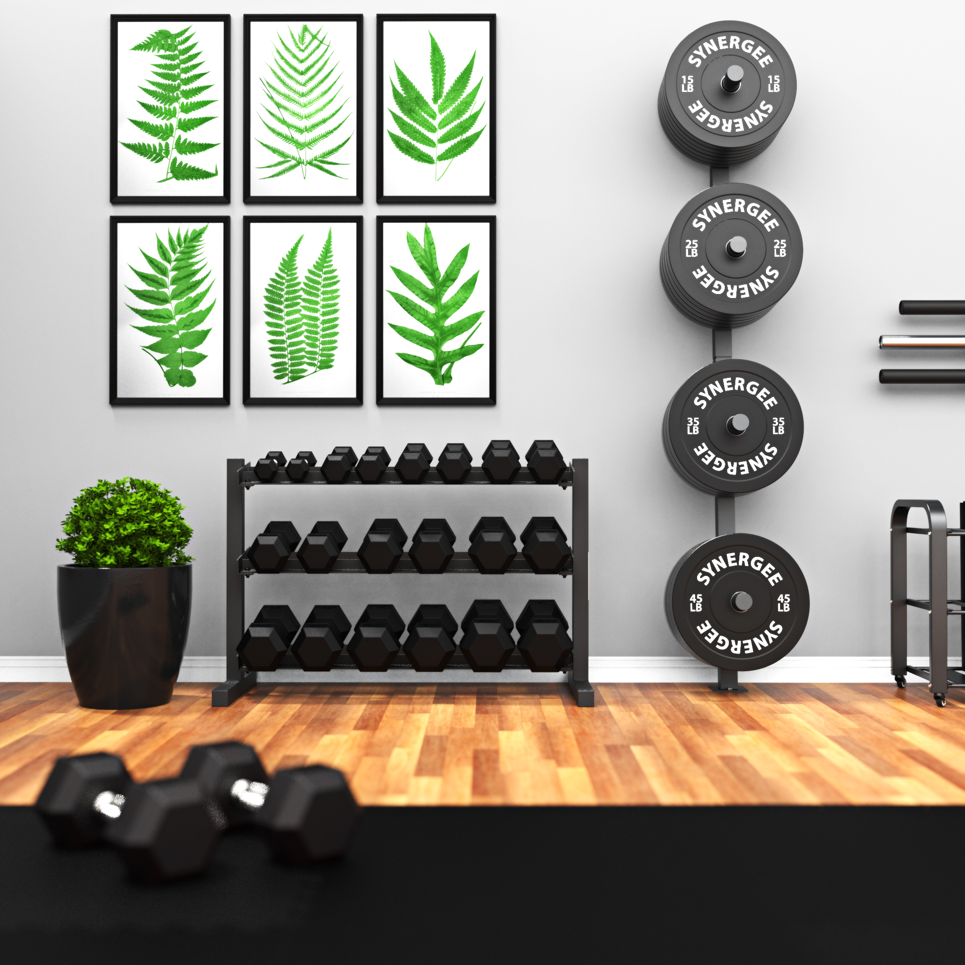 Synergee Weight Plate Wall Storage Rack Synergee Fitness USA